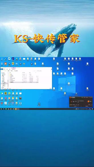 云南蘑菇是什么梗
